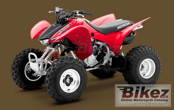 2010 Honda TRX300X photo